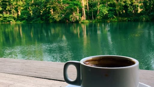 I like this cafe purely for its tranquility. Don't expect much of the coffee but the serenity and high chill factor sort of covers the not so great coffee.