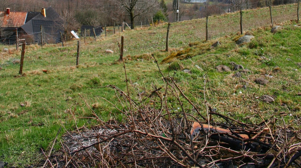 View from Ferme du Bergenbach