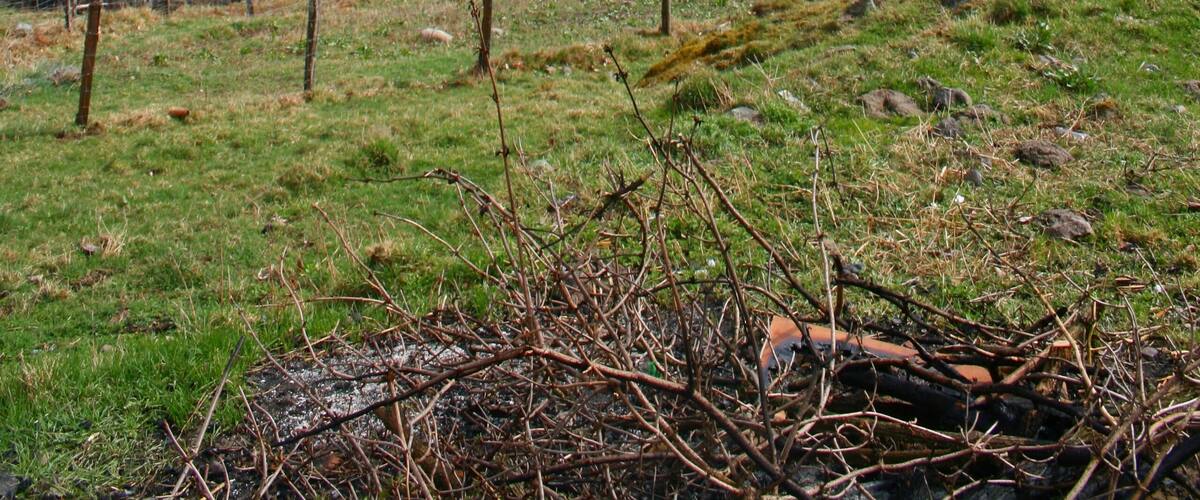 View from Ferme du Bergenbach