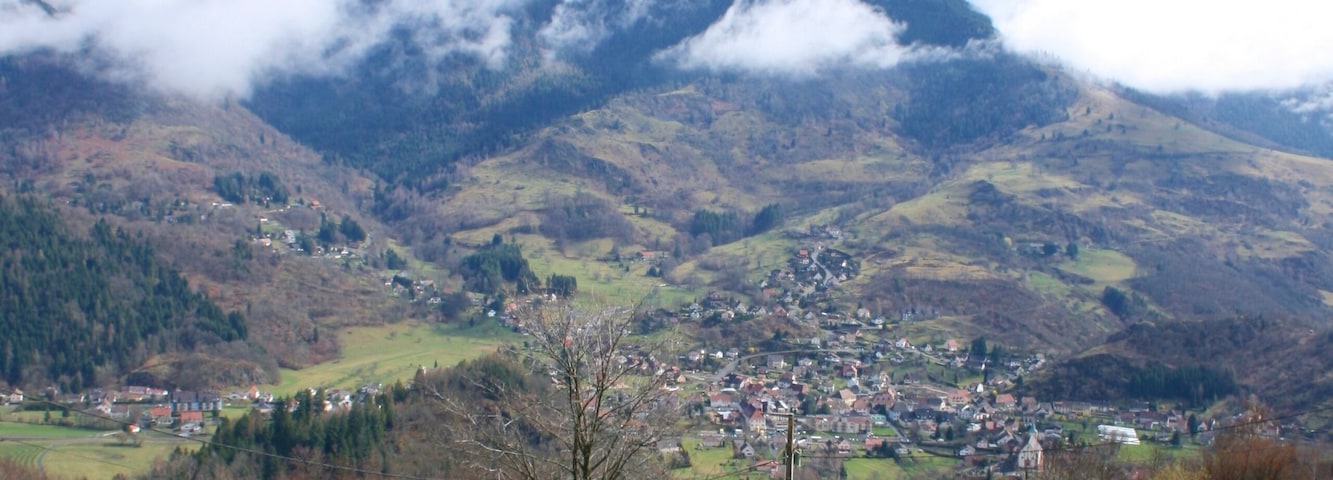 View from Ferme du Bergenbach