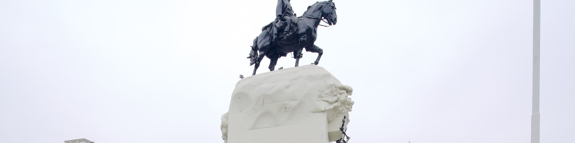 Plaza San Martin featuring a monument, a statue or sculpture and flowers