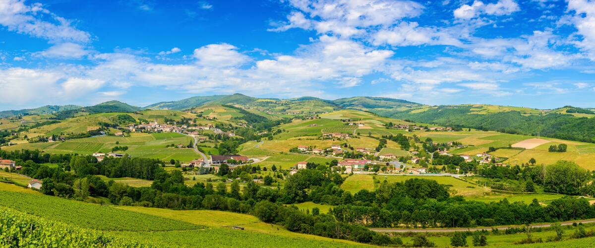 Vineyards of Azergues valley and Letra village in France