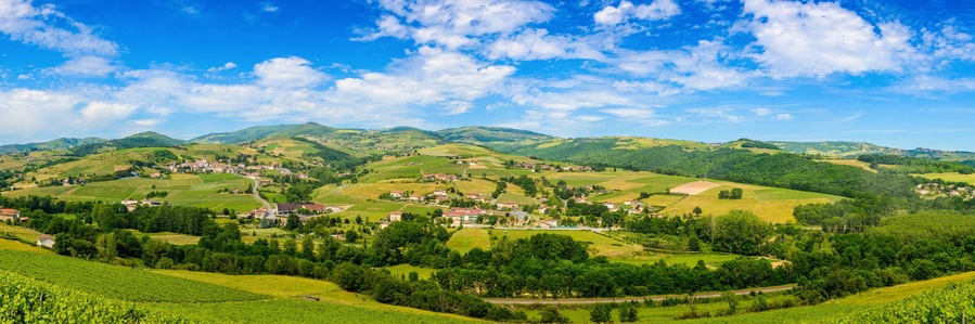 Vineyards of Azergues valley and Letra village in France