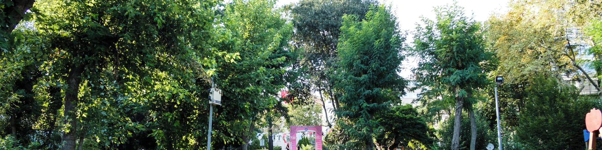 EyeEm Custom Shoots Q4 2018