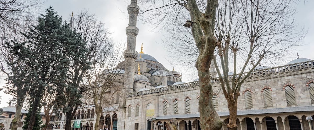 New Mosque which includes a garden, street scenes and heritage architecture