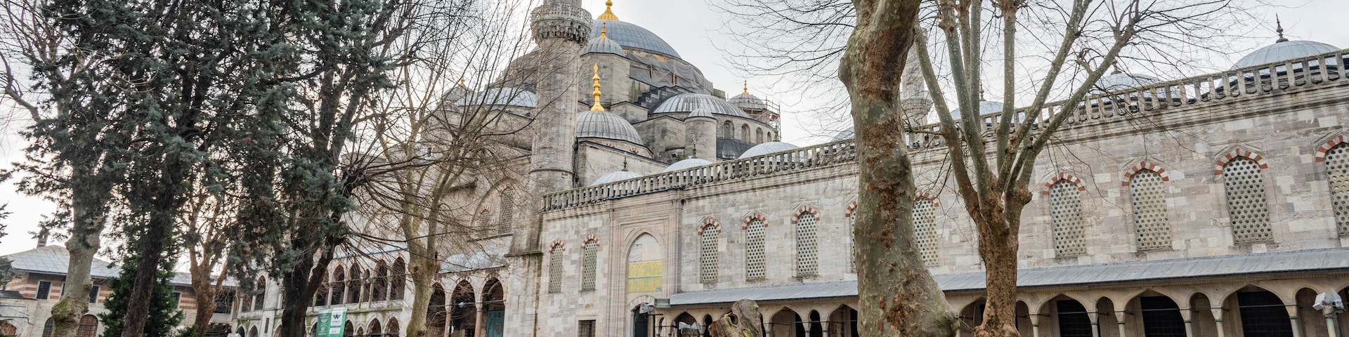 New Mosque which includes a garden, street scenes and heritage architecture