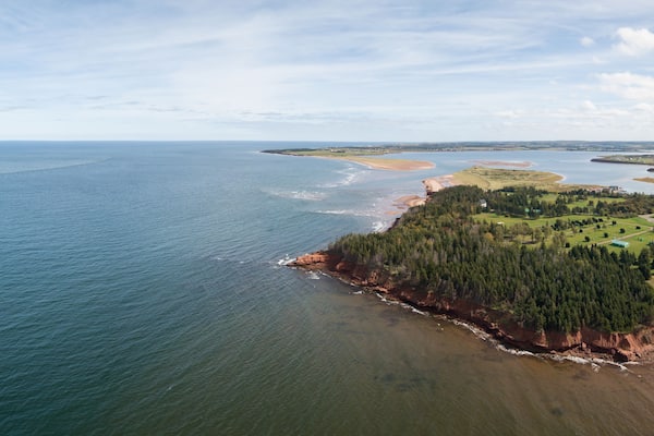 A coastal landscape with a sandy beach, a forested area, and a body of water.