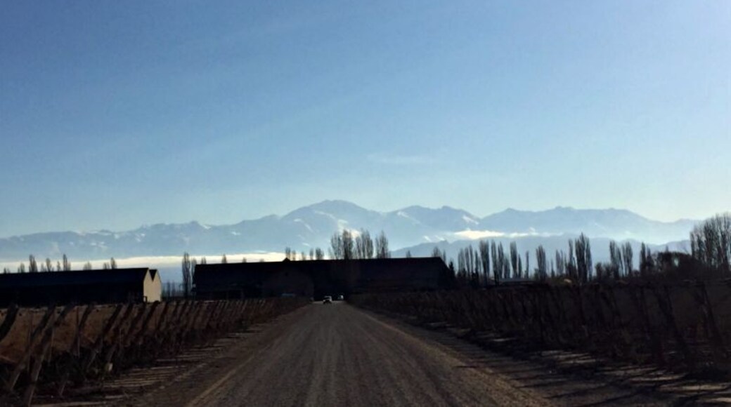 View of the Andes on the drive in to Dominio del Plata Winery in Mendoza. Great views at a woman-owned winery! http://www.badsentences.com/uncorking-argentina/