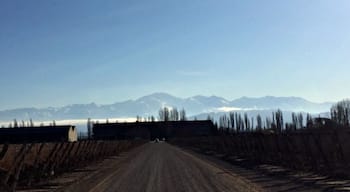 View of the Andes on the drive in to Dominio del Plata Winery in Mendoza. Great views at a woman-owned winery! http://www.badsentences.com/uncorking-argentina/