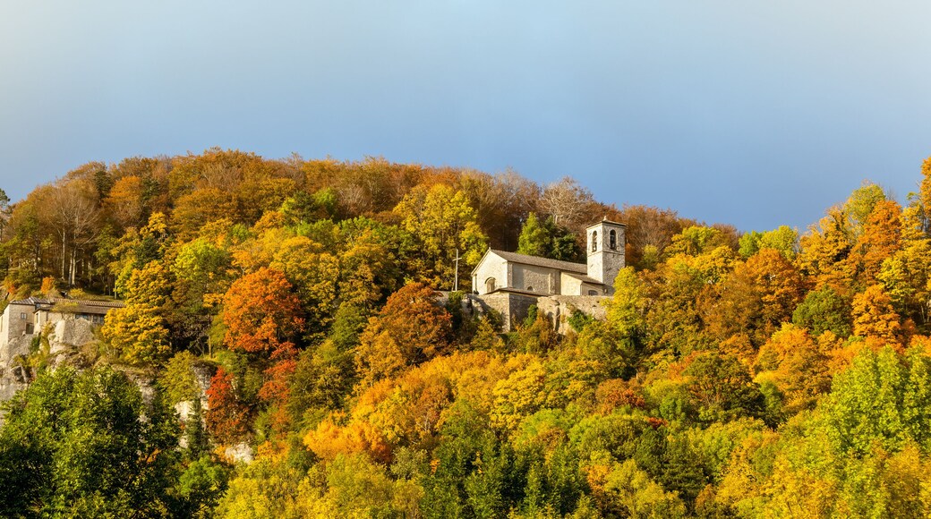Santuario della Verna