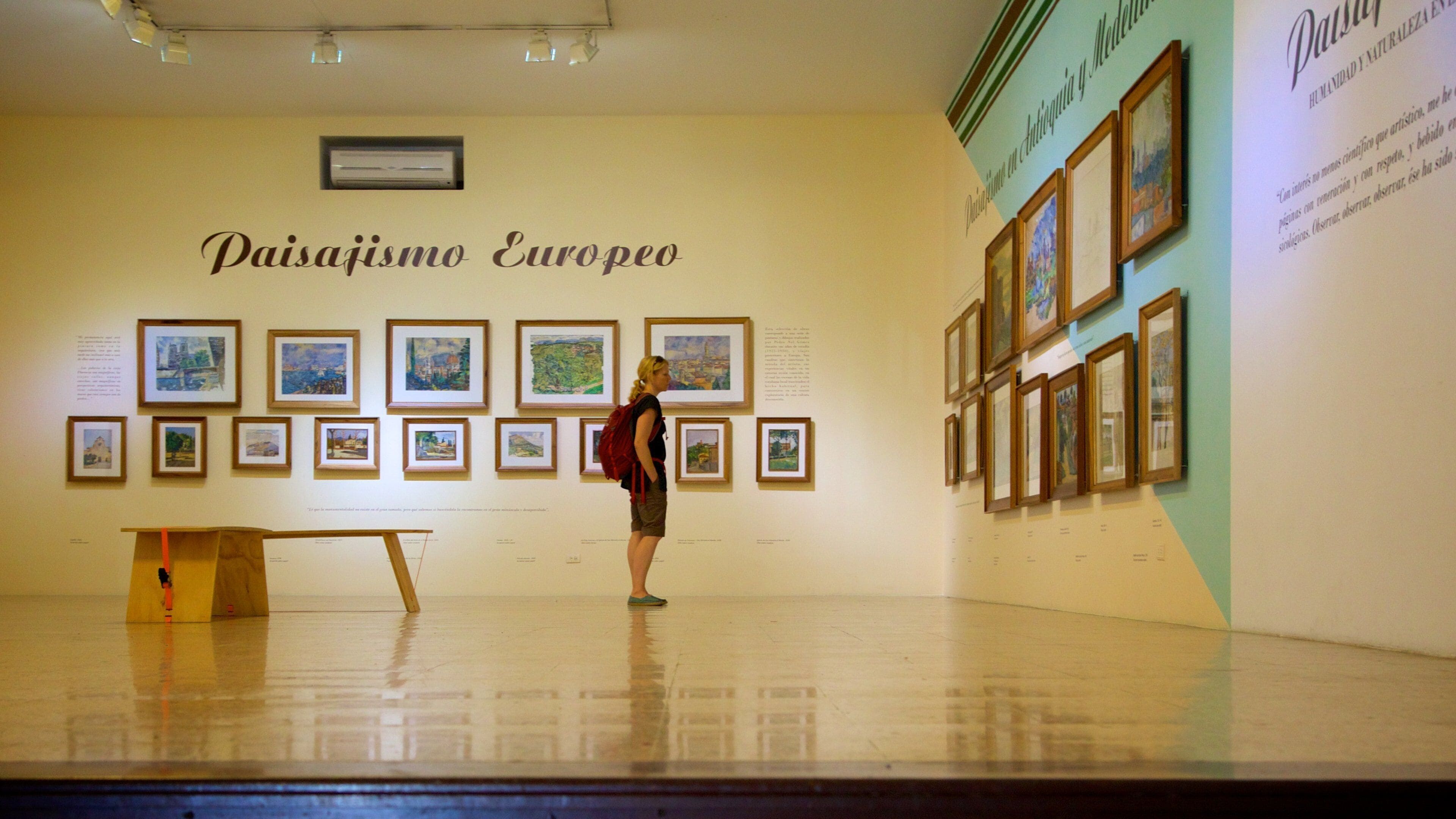 Pedro Nel Gómez House Museum showing interior views and signage as well as an individual femail