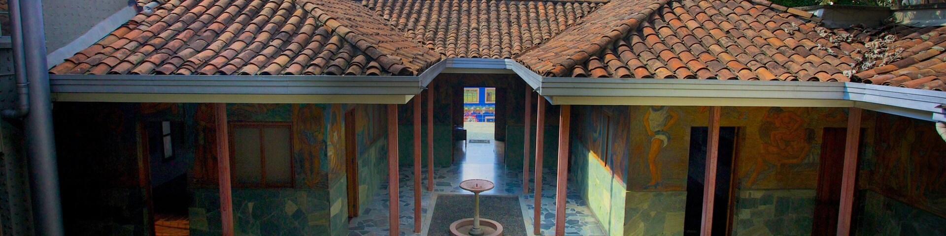 Pedro Nel Gomez Museum and House featuring art