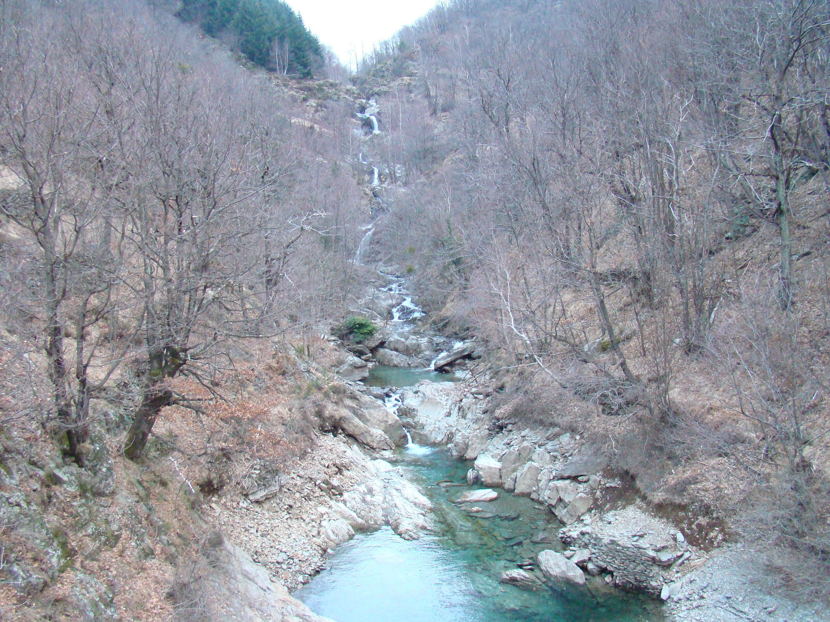 A narrow river flowing through a rocky gorge surrounded by leafless trees.