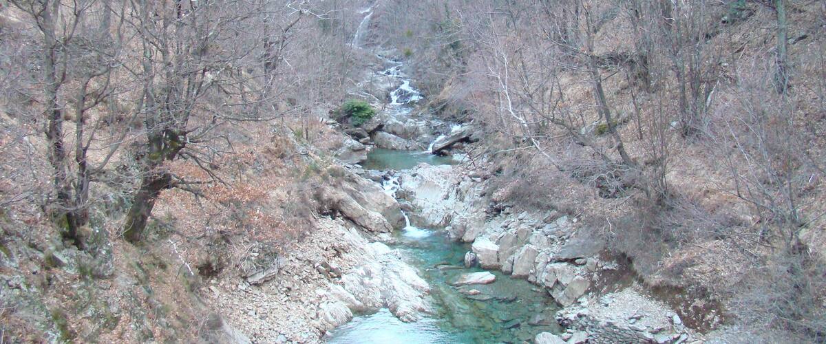 A narrow river flowing through a rocky gorge surrounded by leafless trees.