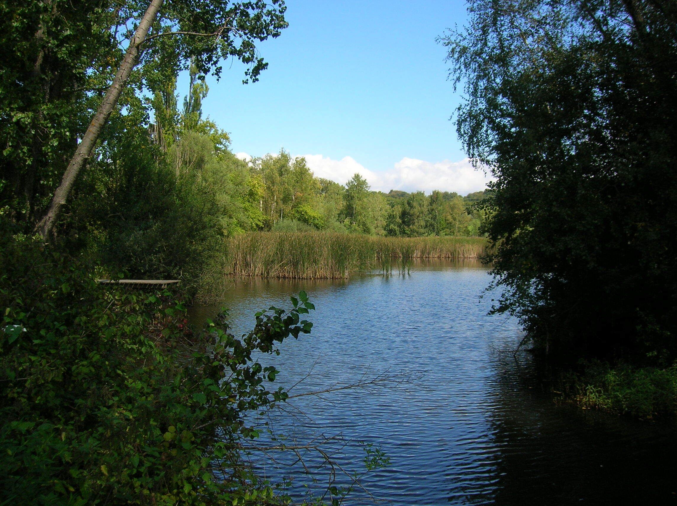 Réserve naturelle régionale de l'étang de Haute-Jarrie, Jarrie, Isère, Rhone-Alpes, France.