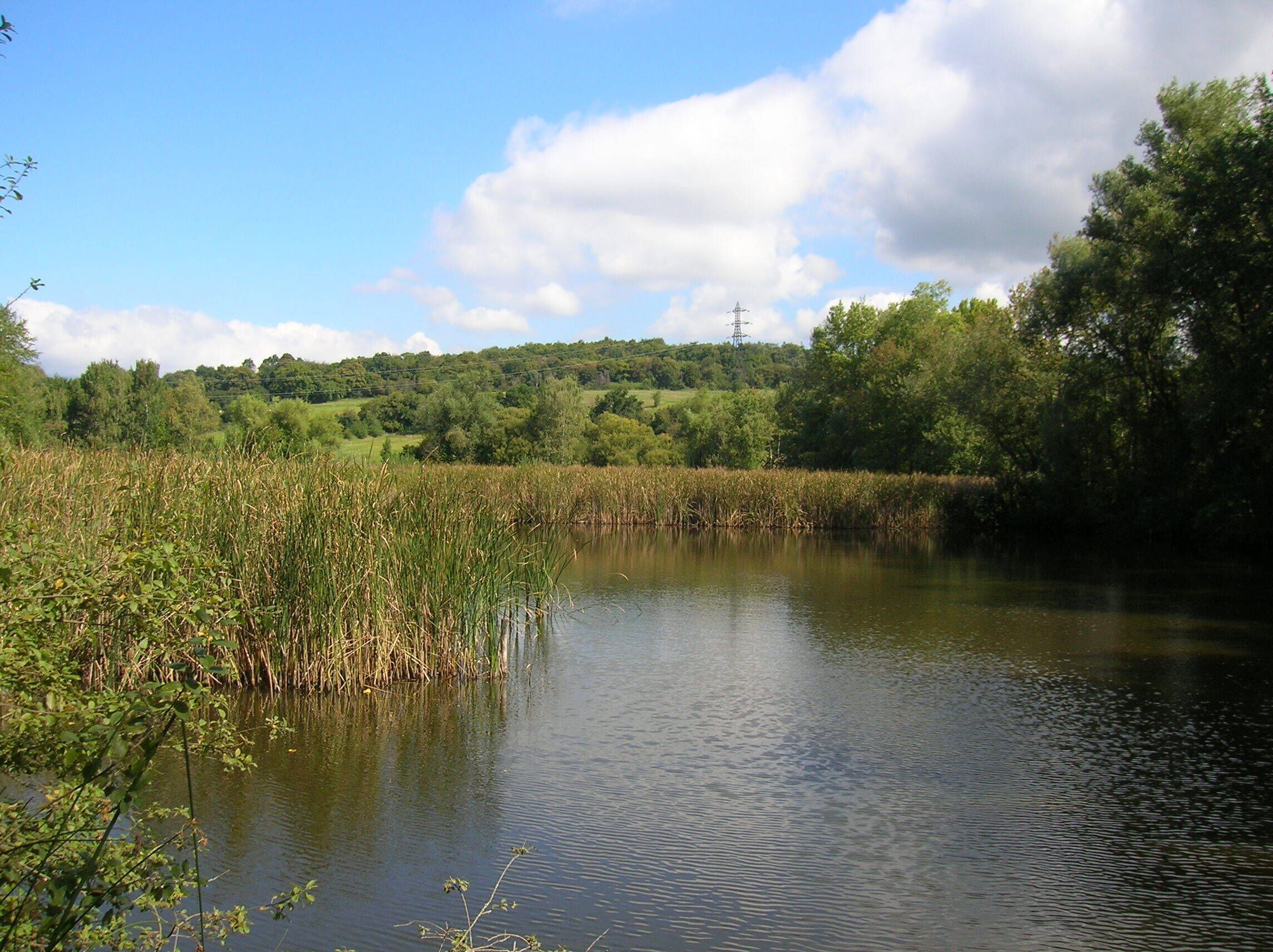 Réserve naturelle régionale de l'étang de Haute-Jarrie, Jarrie, Isère, Rhone-Alpes, France.