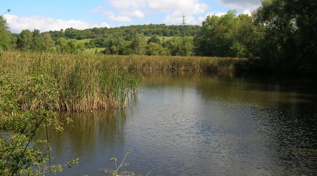 Réserve naturelle régionale de l'étang de Haute-Jarrie, Jarrie, Isère, Rhone-Alpes, France.