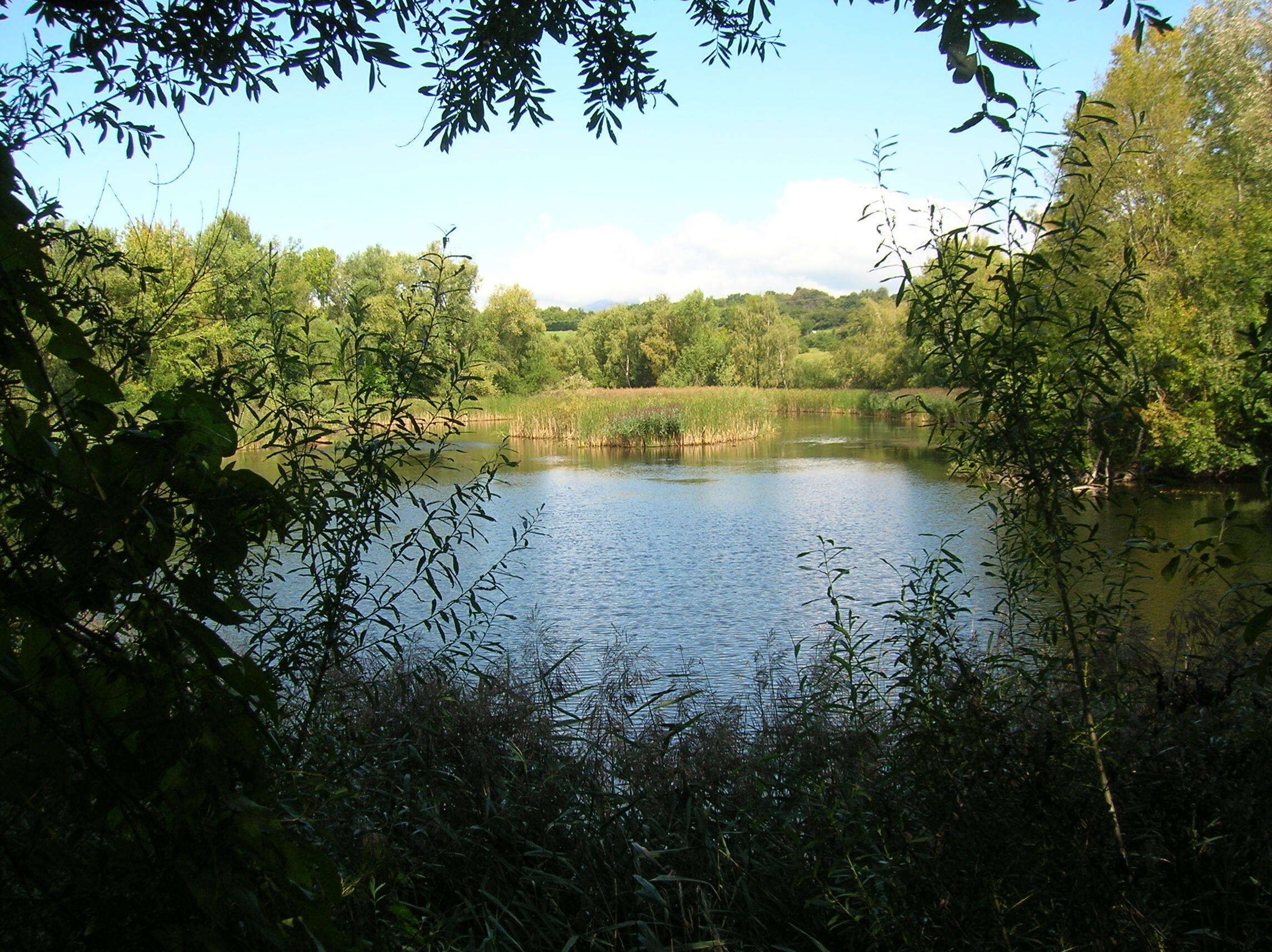Réserve naturelle régionale de l'étang de Haute-Jarrie, Jarrie, Isère, Rhone-Alpes, France.