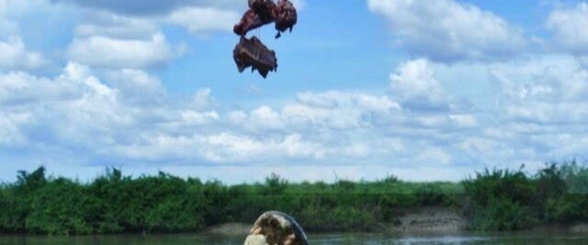 I little drive out of Darwin but well worth it! We were lucky and had super active hungry crocs!