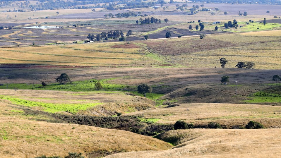 Rolling hills, a river, and scattered trees.