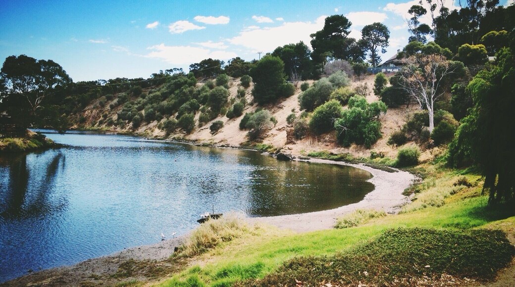 Onkaparinga River in the historic town of Old Noarlunga, South Australia.
#River #Australia