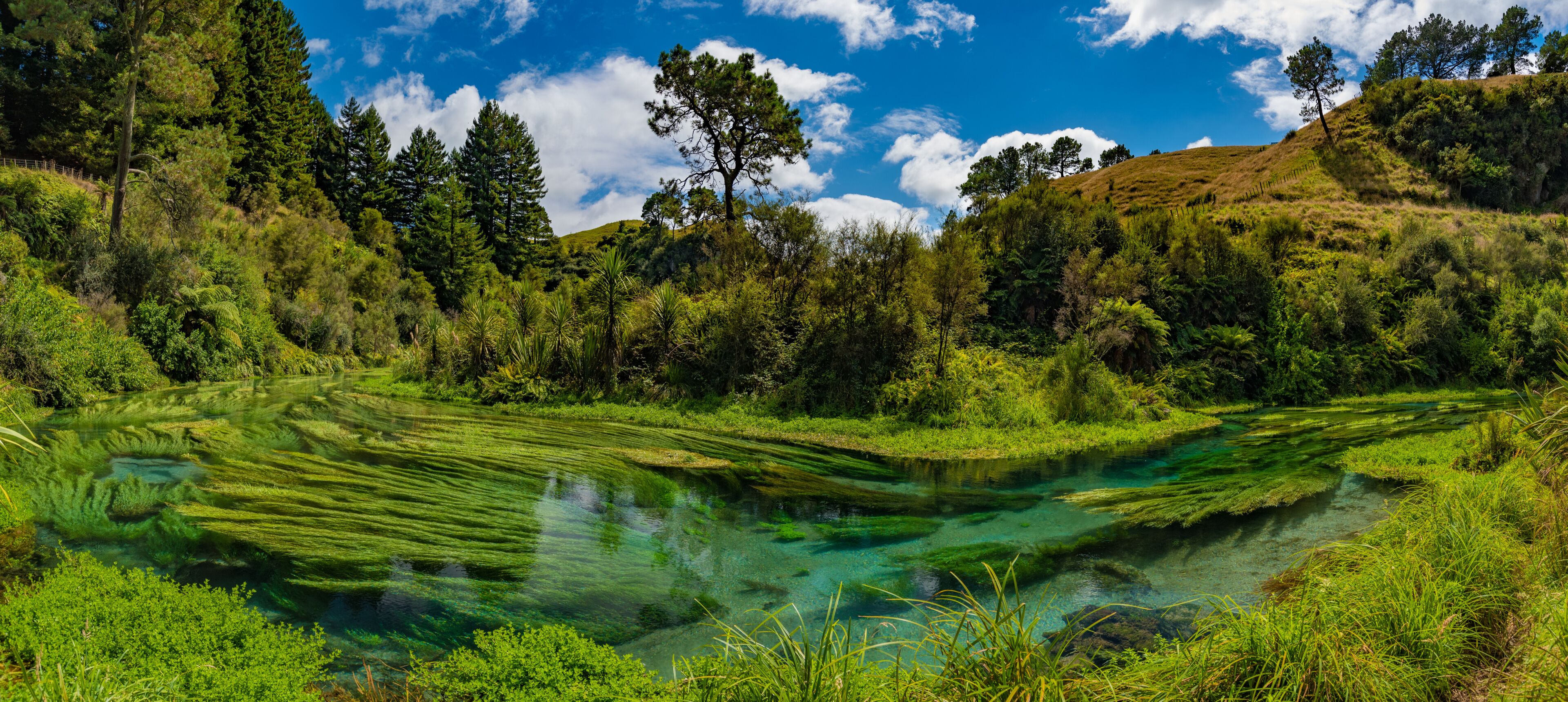 Te Awamutu