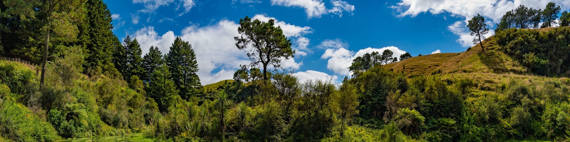 Panorama of Blue Spring, the river with the purest water in New Zealand, Te Waihou Walkway, Hamilton, Waikato
