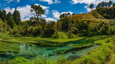 Panorama of Blue Spring, the river with the purest water in New Zealand, Te Waihou Walkway, Hamilton, Waikato
