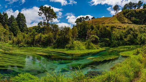 Te Awamutu