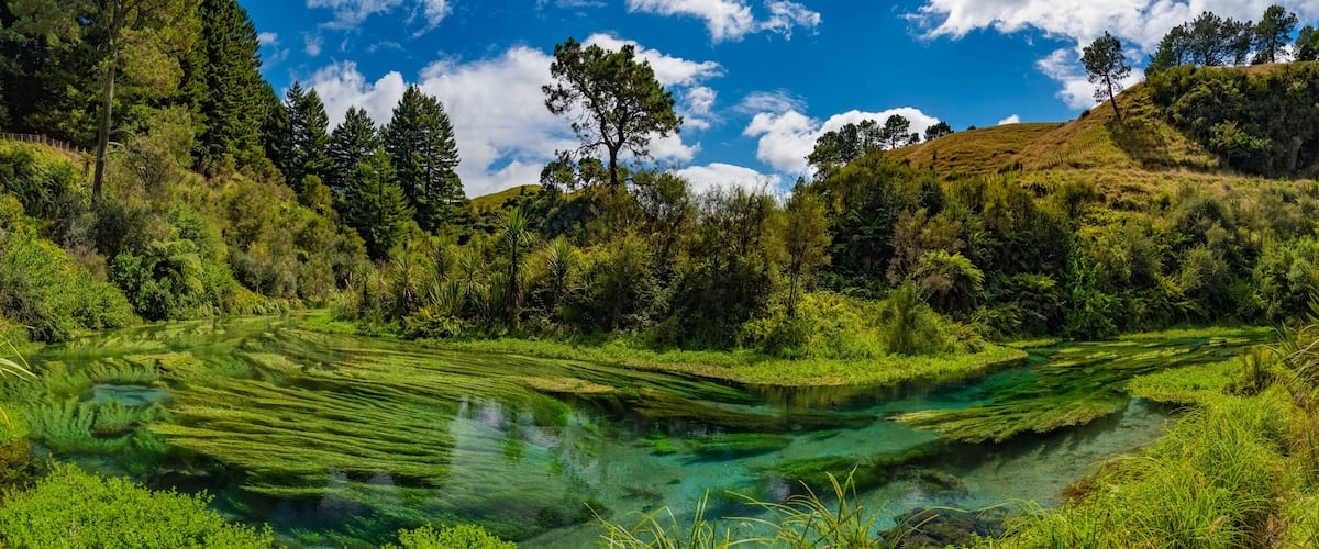 A clear river with surrounding greenery and trees.