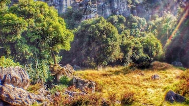 On the long drive between the Coromandel and New Plymouth I saw a sign for "Hobbit filming location" in Piopio. Swinging a right off the main road, 15km later through the most beautiful farmland and some gravel roads and I arrive at Hairy Feet Waitomo, a farm where the troll scenes from the Hobbit were shot. Getting to explore the farm with Suzy the owner was an incredible experience, not to mention seeing the exact spots where scenes were filmed. So glad I followed my instincts and turned right!