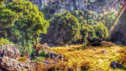 On the long drive between the Coromandel and New Plymouth I saw a sign for "Hobbit filming location" in Piopio. Swinging a right off the main road, 15km later through the most beautiful farmland and some gravel roads and I arrive at Hairy Feet Waitomo, a farm where the troll scenes from the Hobbit were shot. Getting to explore the farm with Suzy the owner was an incredible experience, not to mention seeing the exact spots where scenes were filmed. So glad I followed my instincts and turned right!