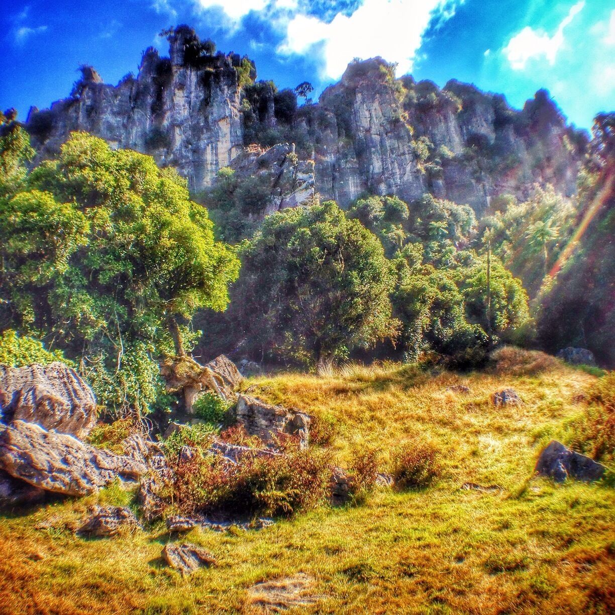 A mountainous landscape with dense green forests and rocky outcrops.