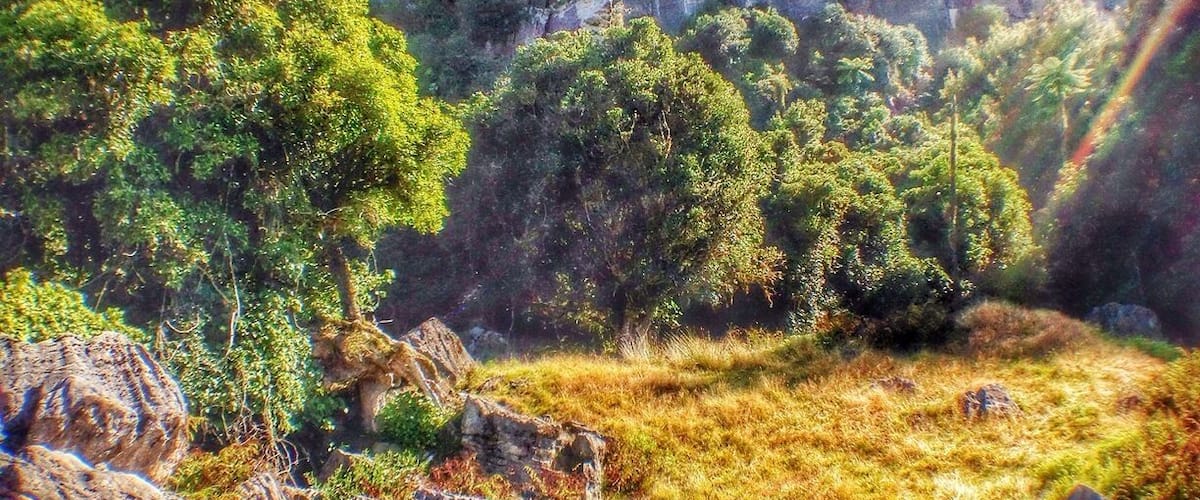 A mountainous landscape with dense green forests and rocky outcrops.