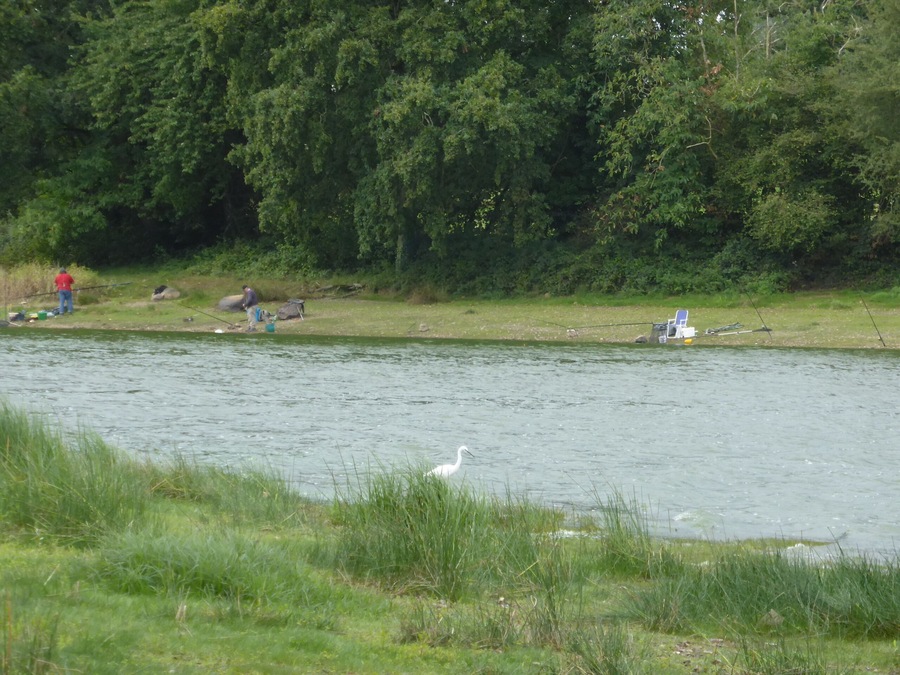 Un río con gente pescando, un ave blanca y árboles frondosos al fondo.