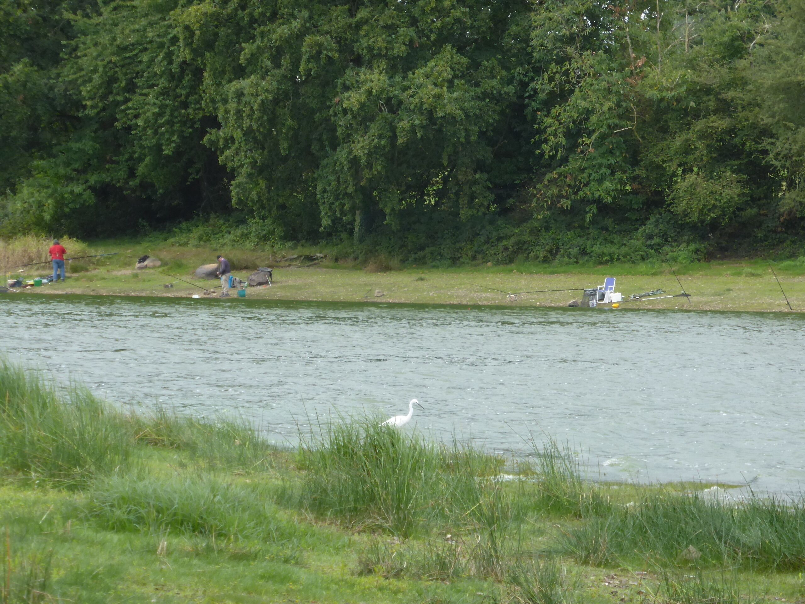 A river with people fishing, a white bird, and dense trees in the background.