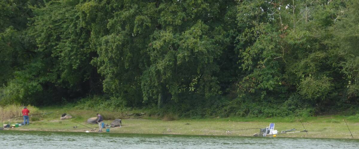 A river with people fishing, a white bird, and dense trees in the background.