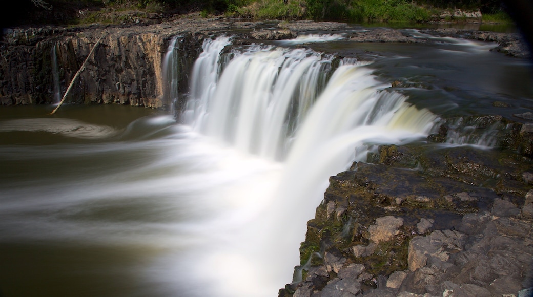 Haruru Falls showing a river or creek and a cascade