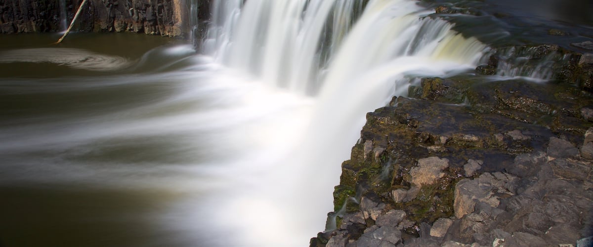 Haruru Falls showing a river or creek and a cascade