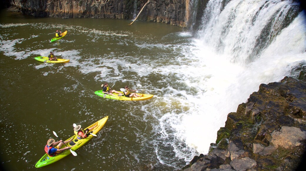Haruru Falls caracterizando caiaque ou canoagem, um rio ou cĂłrrego e uma cachoeira