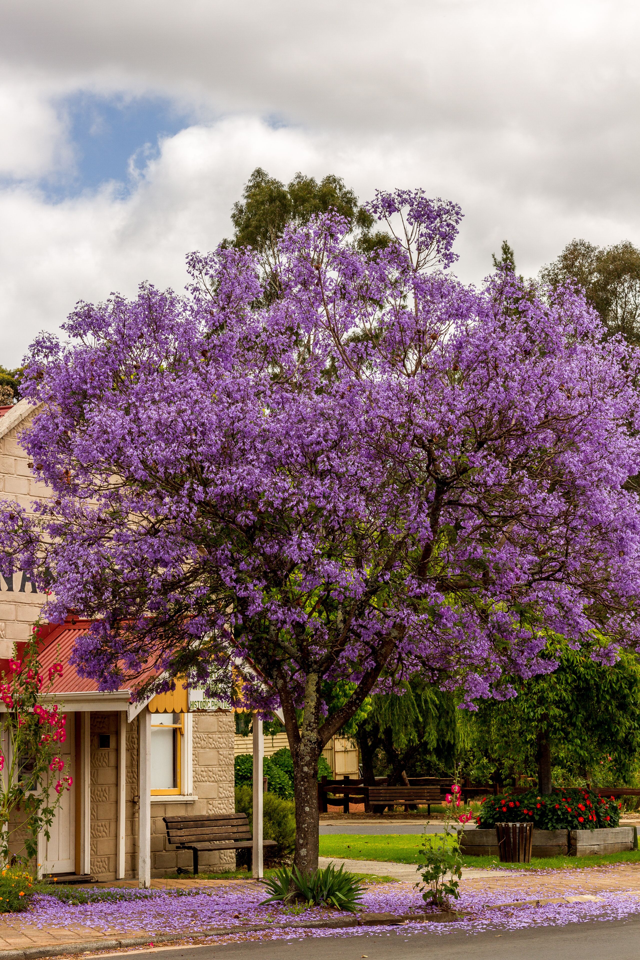 Nannup