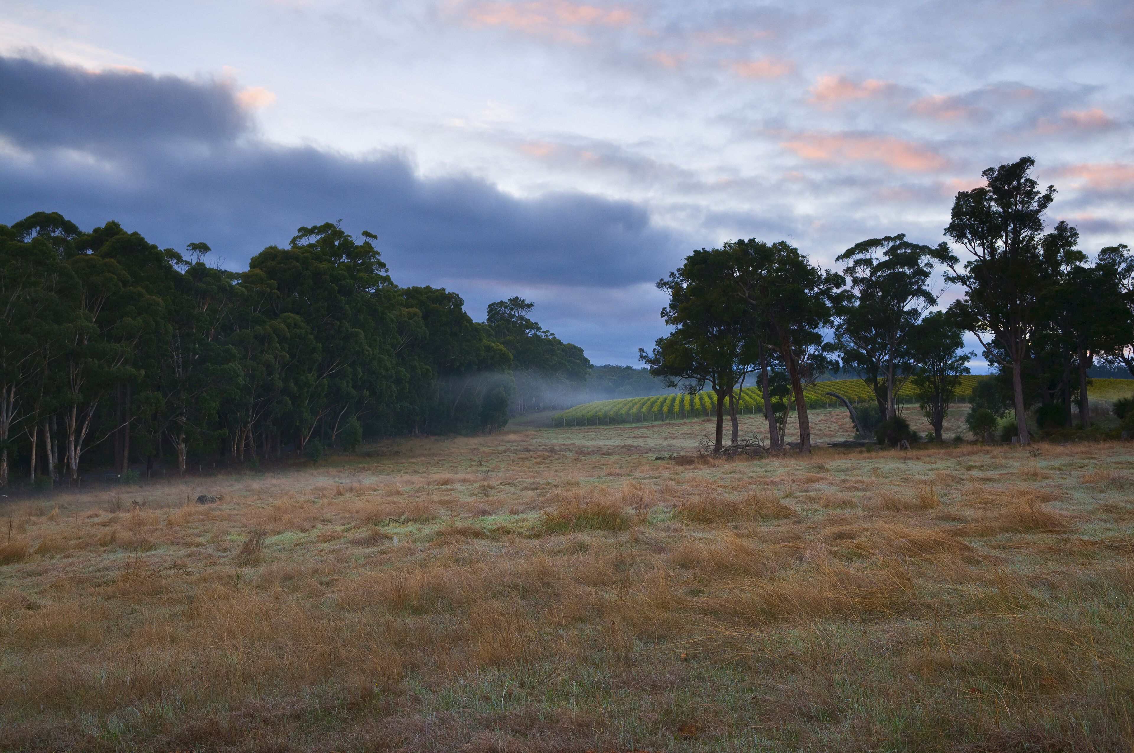 Farmland, Nannup, Western Australia, Australia