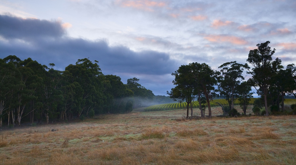 Farmland, Nannup, Western Australia, Australia