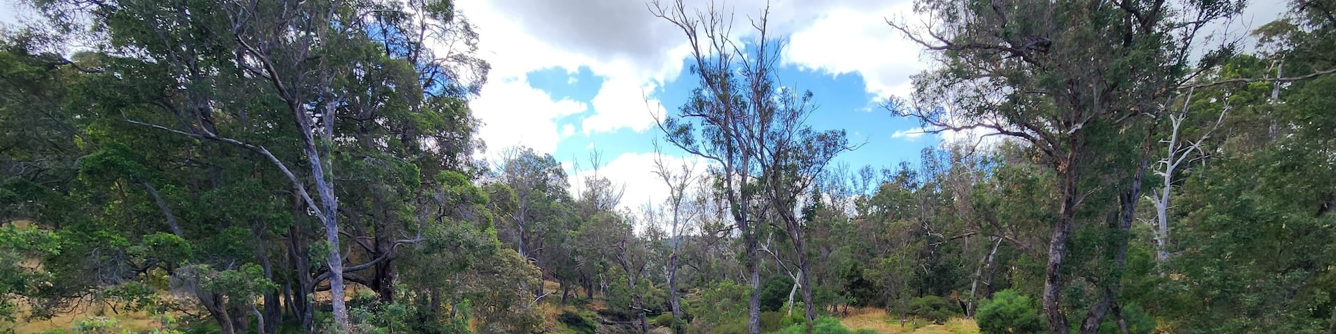 Nannup Village Scenery in Western Australia