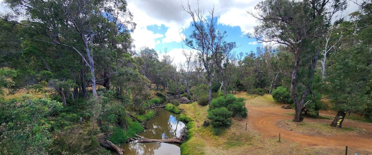 A river winding through a forested area with a dirt path and picnic table.