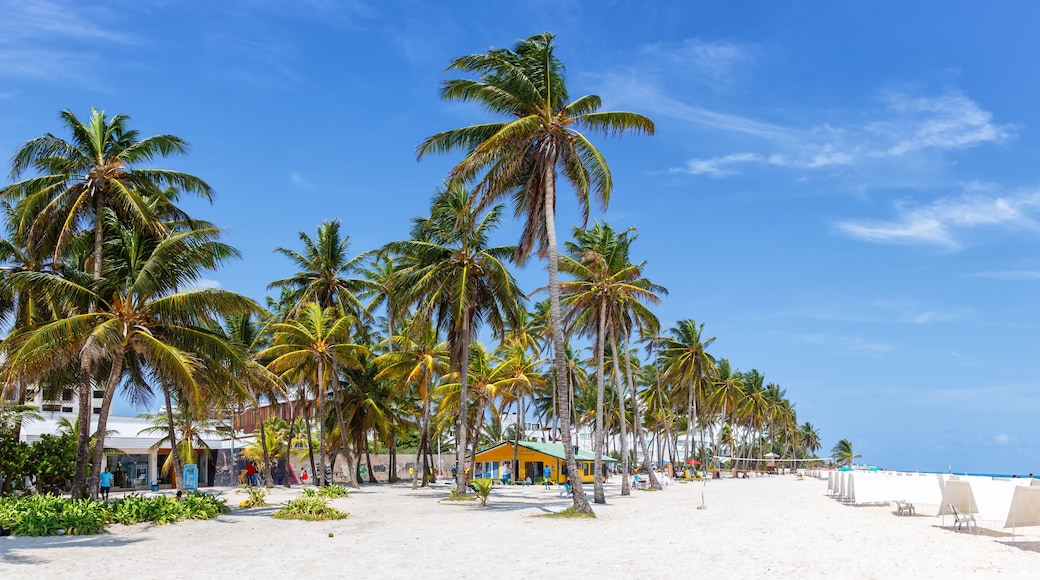 斯普拉特湾海滩