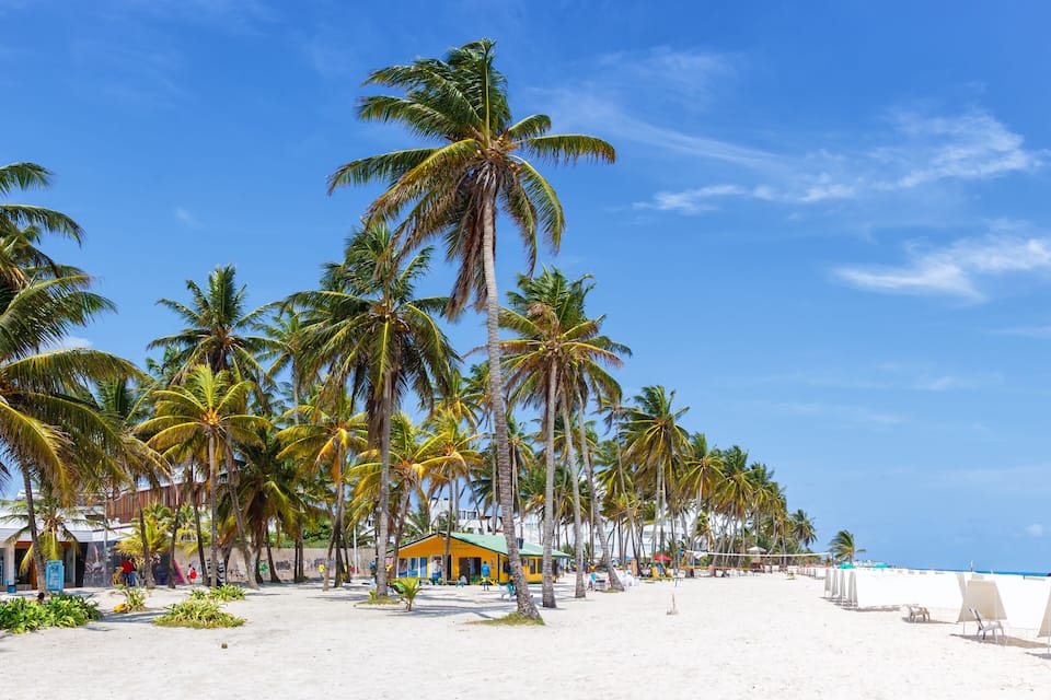 Una playa con palmeras, un edificio amarillo y sombrillas de playa blancas.