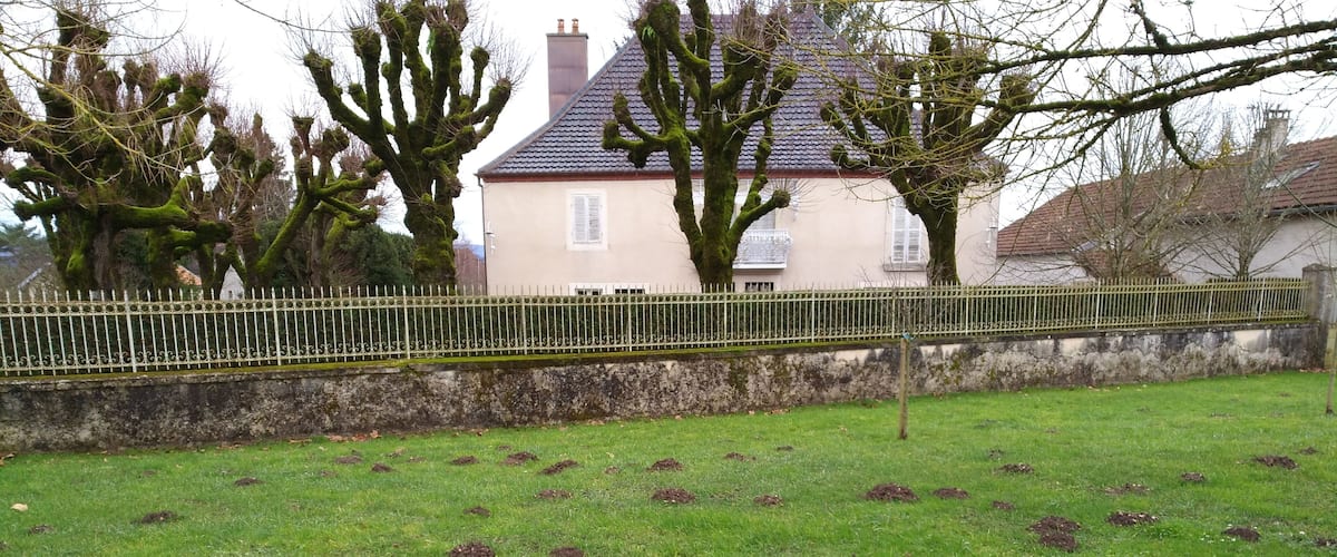 A grassy field with several mounds, a stone wall, and a yellow fence.