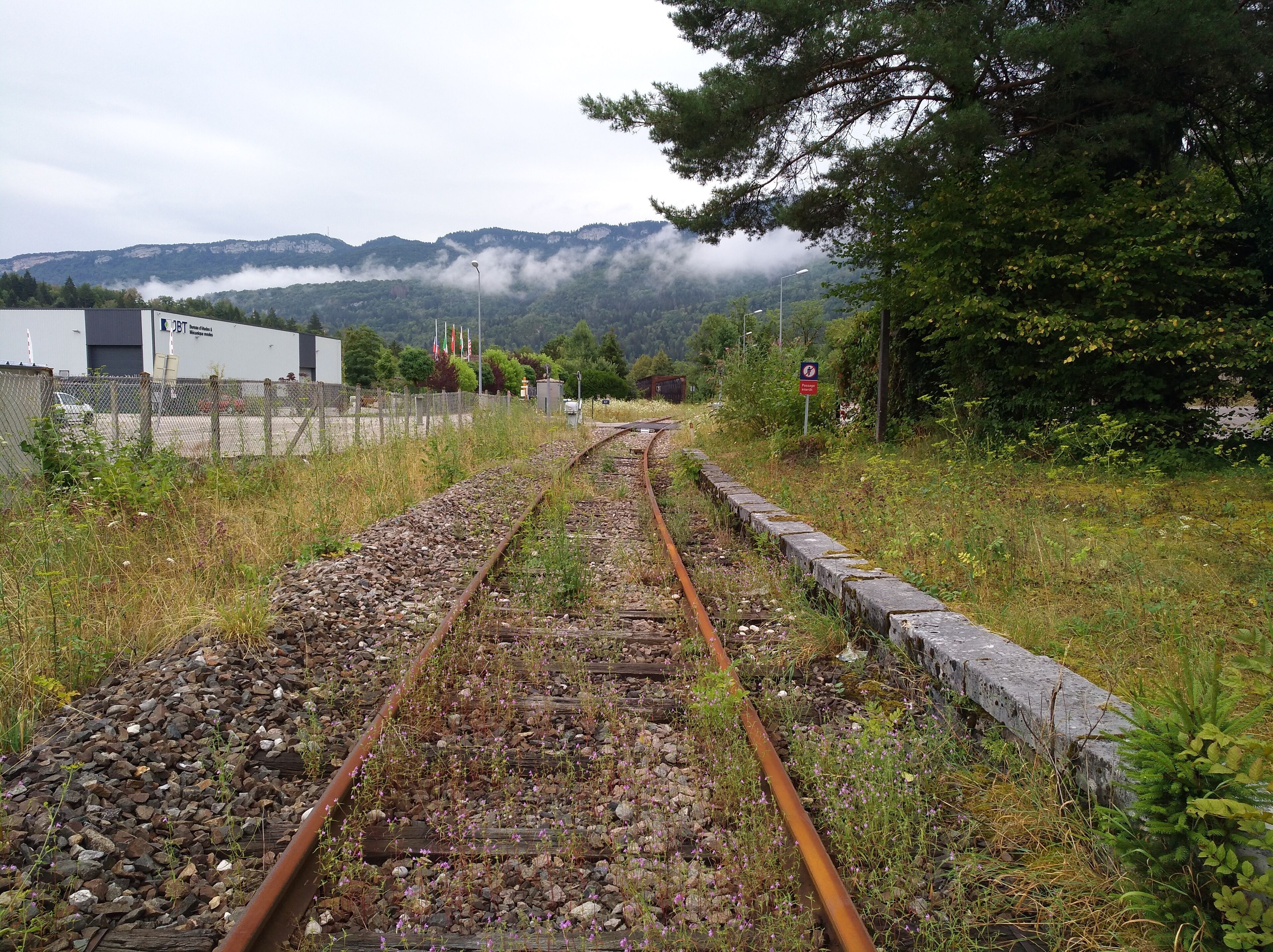 Voie en direction de Saint-Claude à l'ancienne gare de Molinges (Jura, France).