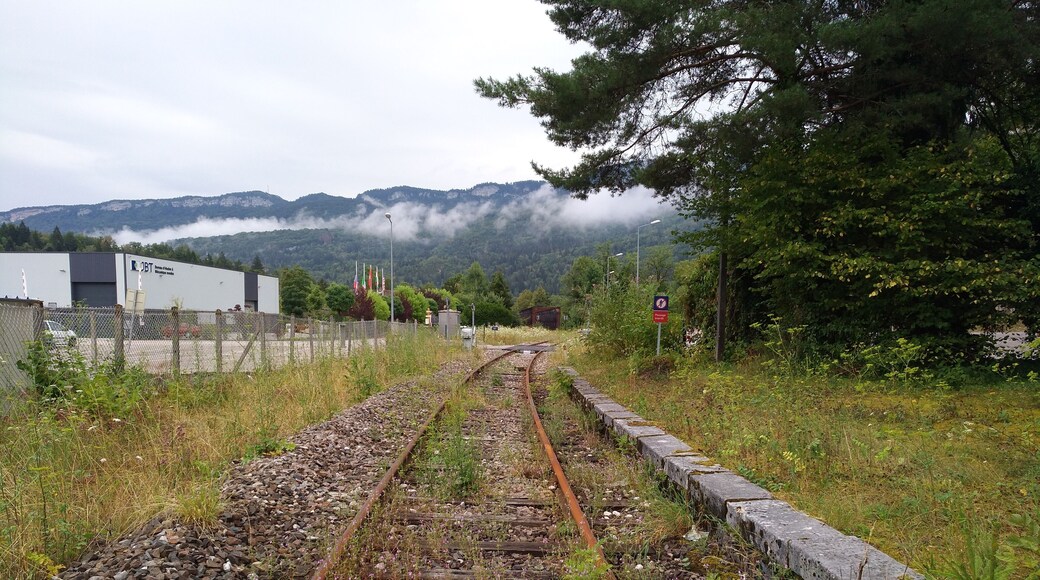 Voie en direction de Saint-Claude à l'ancienne gare de Molinges (Jura, France).
